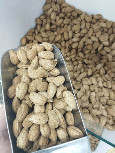 بادام نیمه کاغذی ایرانی